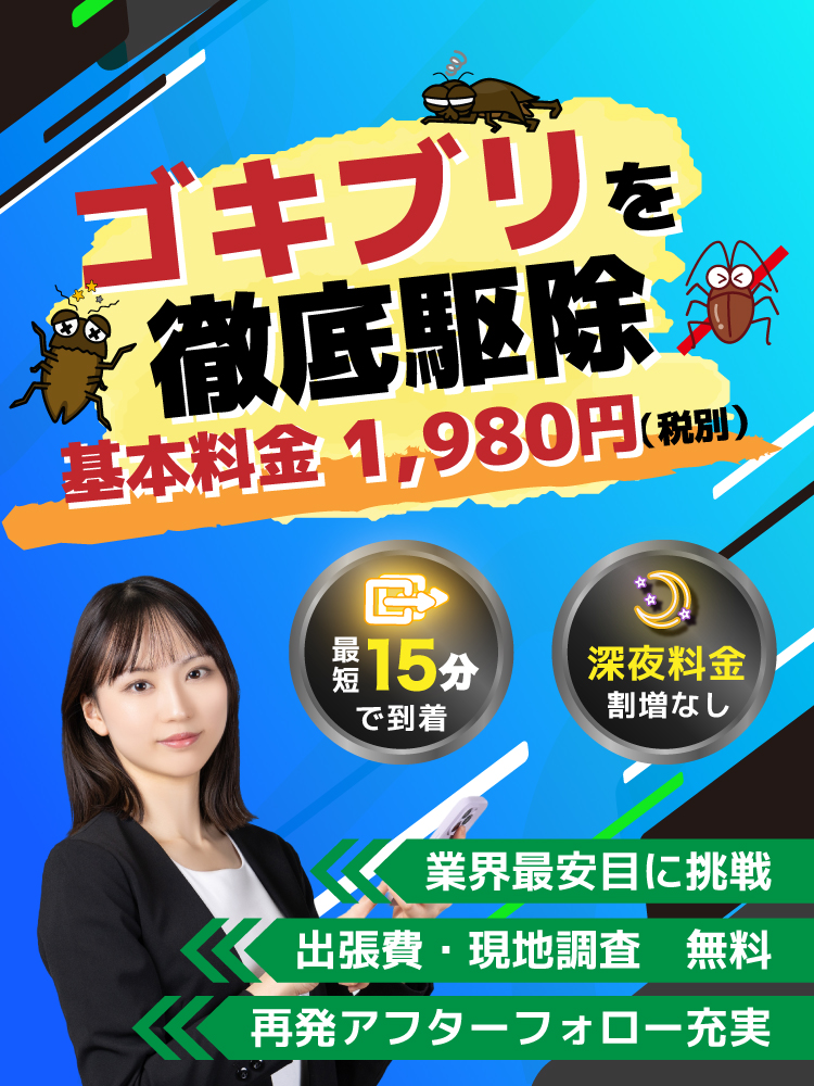 コラム上部画像1
